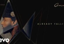 Davido – Already Falling (Official Audio)