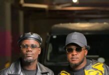 Wiz Dollar 9.8 ft Dizmo – Nshakwata Level